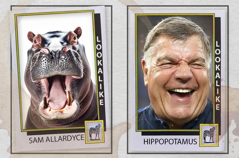 Sam Allardyce - Football Lookalike